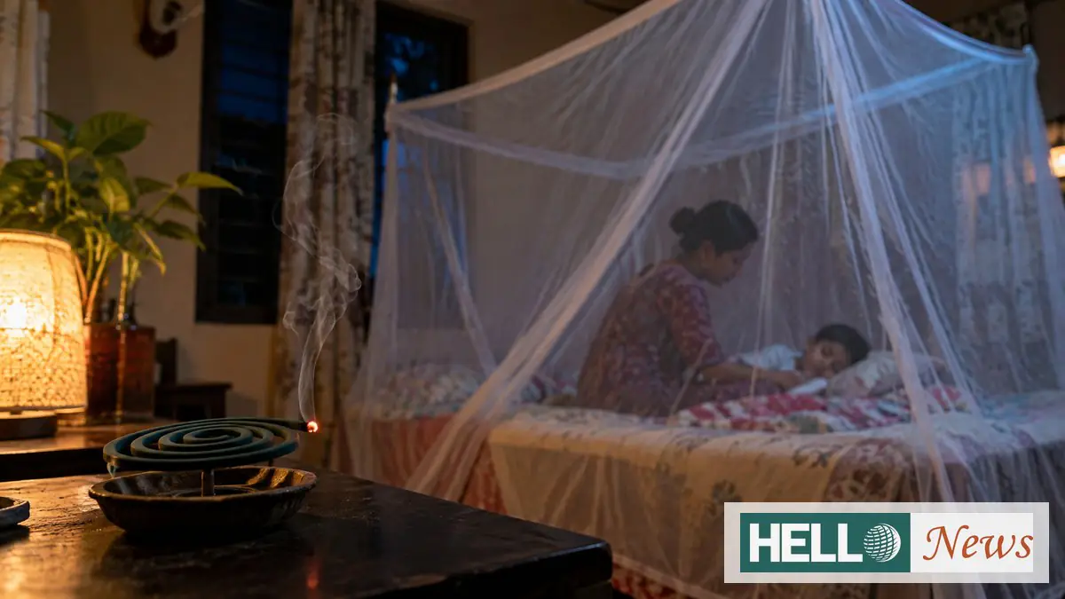 ডেঙ্গু আতঙ্কে তুঙ্গে মশারির কদর: সন্ধ্যা নামলেই ঘরে ঘরে জ্বলছে কয়েল